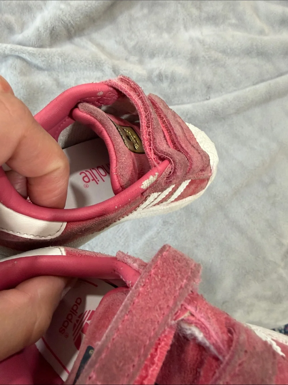 adidas superstar with Velcro toddler 6